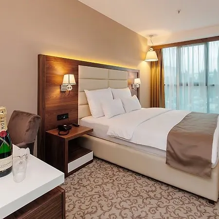 酒店 新星酒店 4*